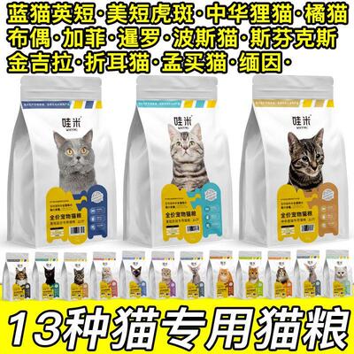 英短蓝猫美短虎斑狸花田