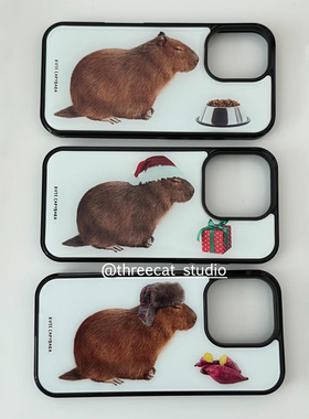 韩系ins可爱有趣帽子卡皮巴拉欧尼同款手机壳适用于iphone17promax/16pro苹果15/14/13/12黑边11保护套Xsmax