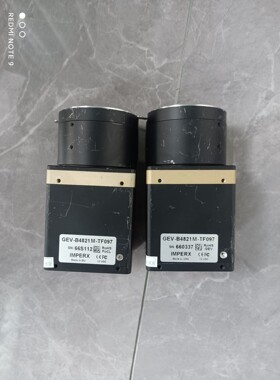 imperx  GEV-B4821M-TF097大靶面工业相