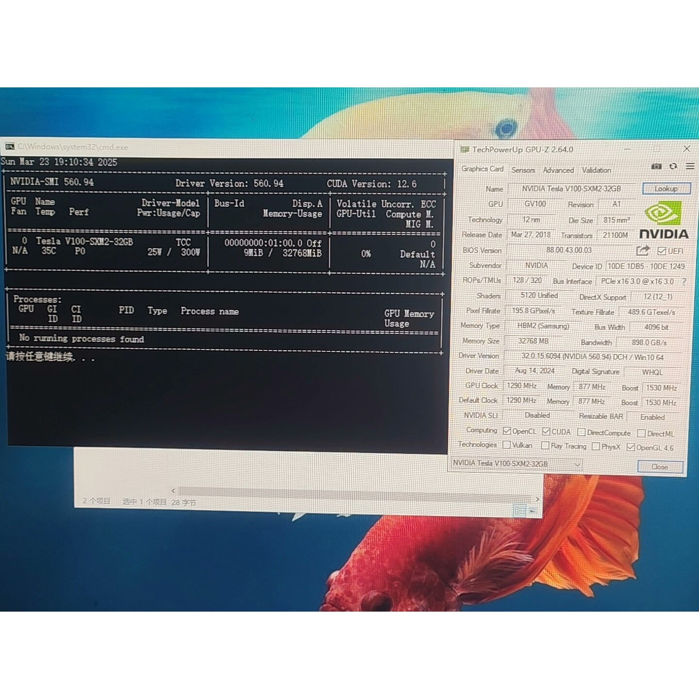 Tesla V100-SXM2-32GB,GPU卡,外观如图