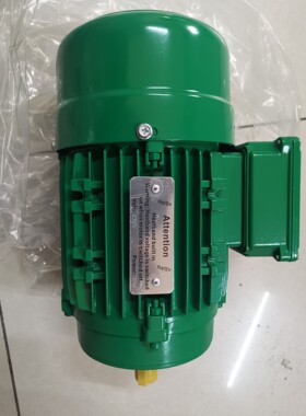 出斯文伯格液压站电机HOYER MS8024,具体信息见铭牌