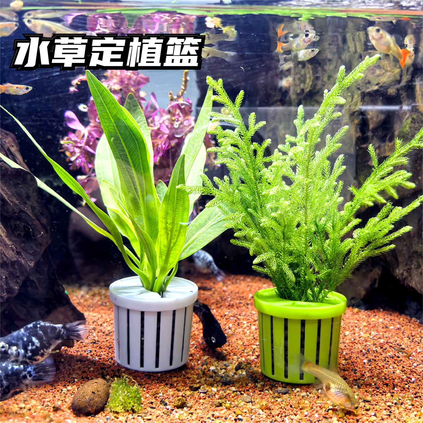 鱼缸水草定植篮养草杯花卉固根器水草泥沉底固定神器家用造景装饰