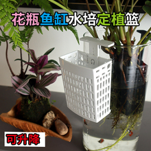 鱼缸水草定植篮周转箱挂篮水培固定篮乌龟缸可升降可调节造景装饰