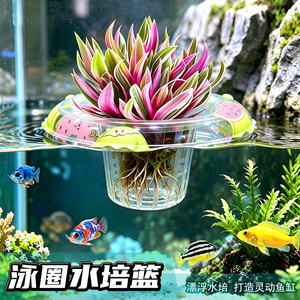 漂浮造景水培定值篮乌龟戏水圈