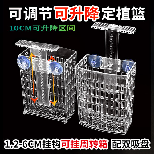 鱼缸水培定植篮加大版固定架水培植物铜钱草金昌蒲造景装饰壁挂式