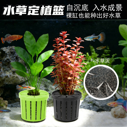 水培定值篮固根神器自沉底