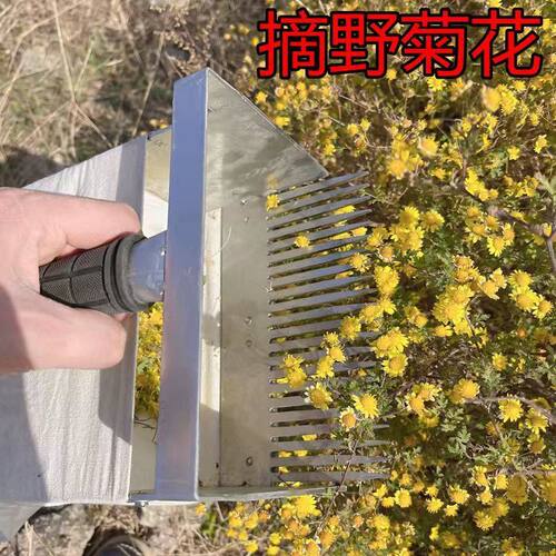 采菊花神器采花器菊花采摘器菊花工具采摘机采花机摘花机