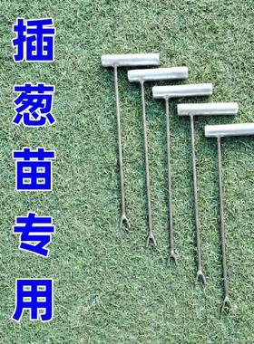 无插葱苗工具栽葱工具小葱插苗