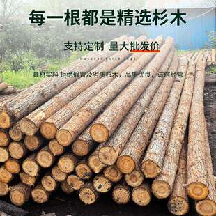 杉木桩削尖木桩河道工程驳岸打木桩松木桩园林绿化树木支撑杆户外