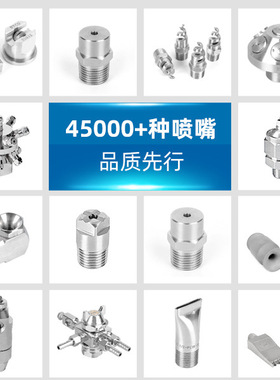 JN空气雾化喷嘴干燥设备不锈钢可调节二流体喷头BYCO降温喷雾器