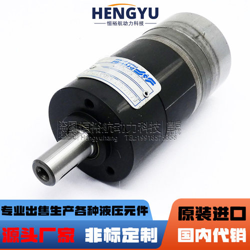 布雷维尼液压马达brevini摆线马达BGMS032FROM06L160N BGM040SP1