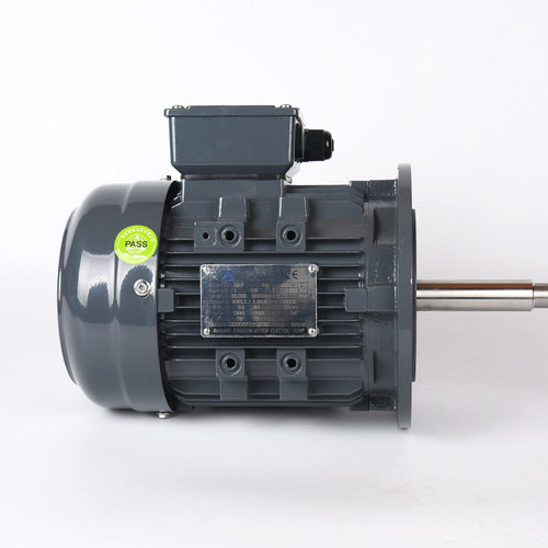 现货供应非标长轴电机 AEVF-0.75KW-4P三相异步电动机