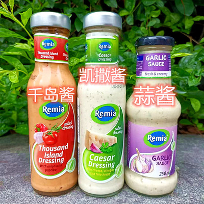 千岛酱蔬菜水果凯撒沙拉蒜泥酱Remia Thousand Dressing香港代购