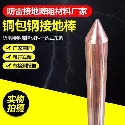 铜包钢接地棒防雷镀铜接地棒家用地线接地装置接地针尖头镀铜圆钢