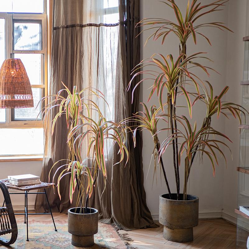 掬涵彷真大型龙血树千年木绿植盆栽北欧家居橱窗造景装饰假树