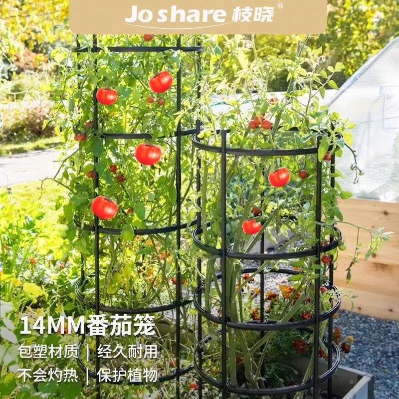 枝晓 超大直径番茄爬藤架 菜园攀爬户外庭院花支架子花园花柱花架