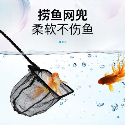 水族鱼缸水族箱出口级小号大号鱼捞网捞鱼网兜虾捞方形不锈捞鱼网