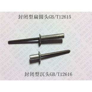 &Phi; 封闭型沉头抽芯铆钉防水型封闭扁圆头拉铆钉&Phi;3.2