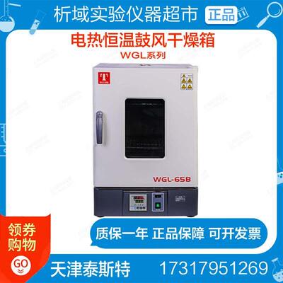 天津泰斯特WGL-30B/65/125/230/B/BE电热鼓风干燥箱WGLL-45B