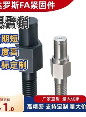 悬臂销非标定制 FXKA PFXKA SFXKA FXNKA PFXNKA SFXNKA