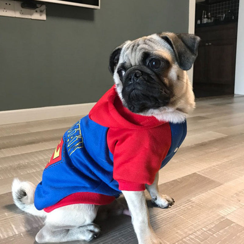 法斗巴哥衣服秋冬装柯基斗牛犬短体宠物厚款卫衣潮牌泰迪比熊衣服