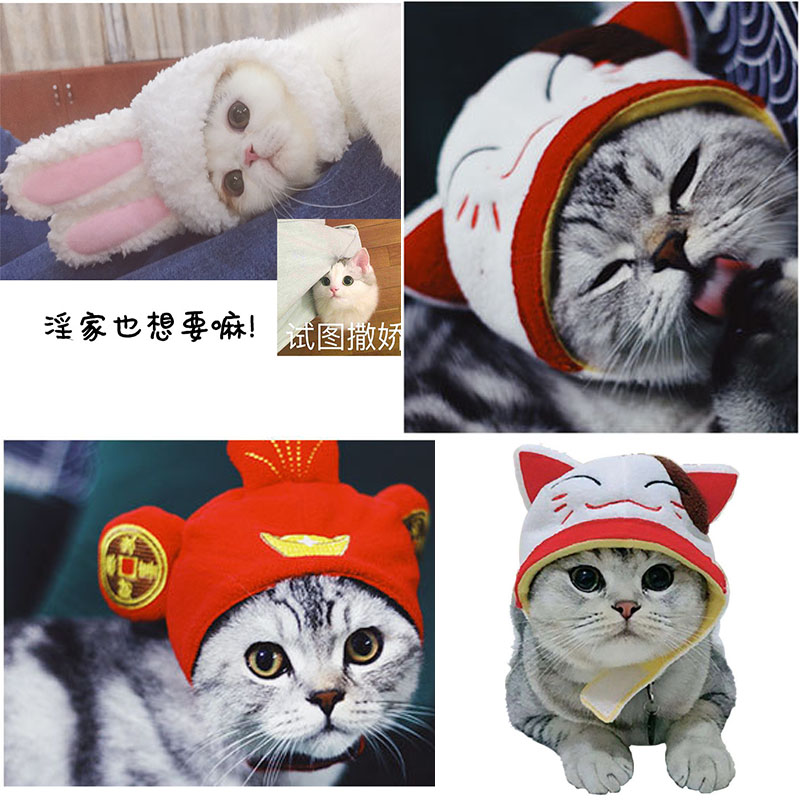网红猫咪头套宠物帽子兔耳朵头抖音同款拍照道具新年元宝喜庆装扮