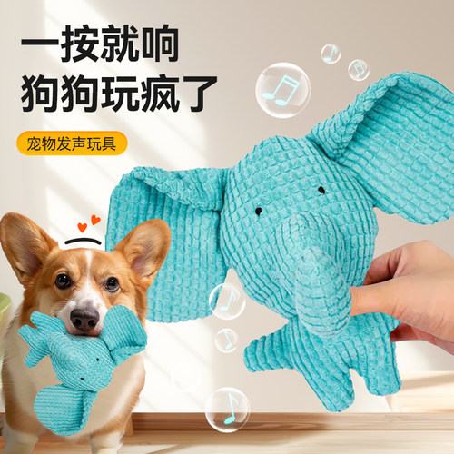 小狗狗能看到颜色的玩具