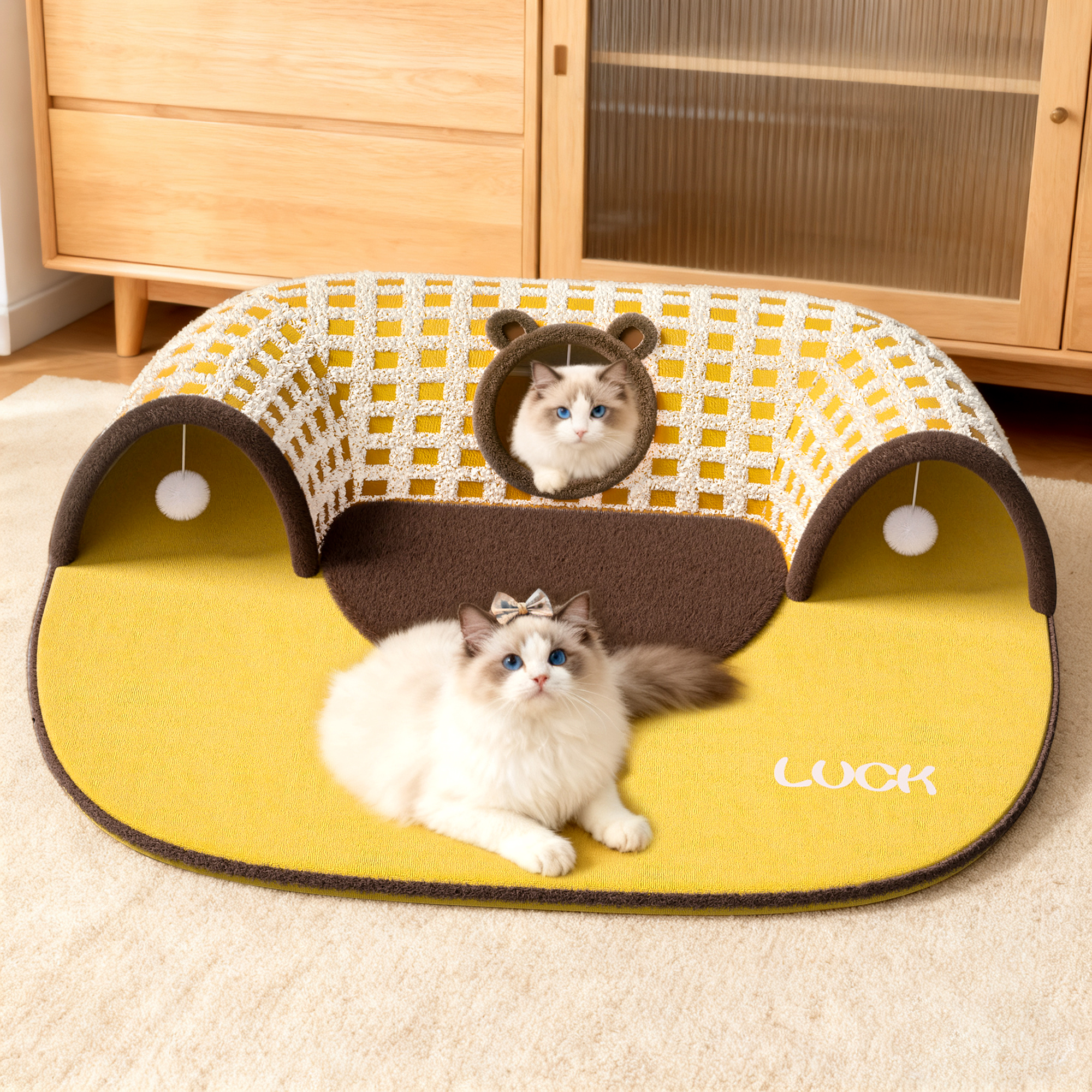 【玩睡一体】猫咪自由穿梭