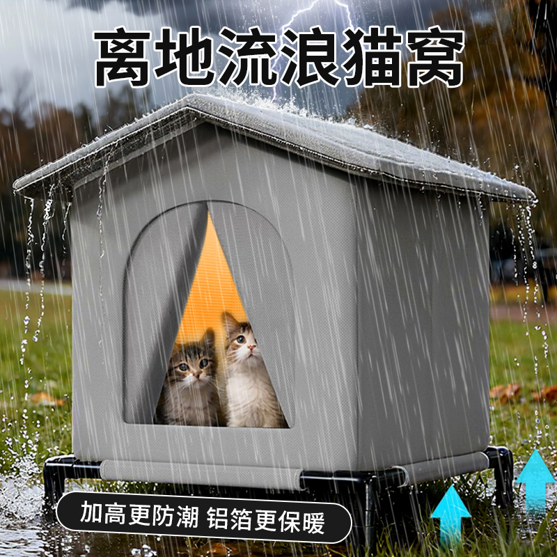 离地隔潮流浪毛孩也要有温暖