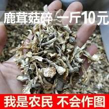 鹿茸菇干货鹿茸菌碎片500g包邮无硫新鲜特级土特产纯天然煲汤食材