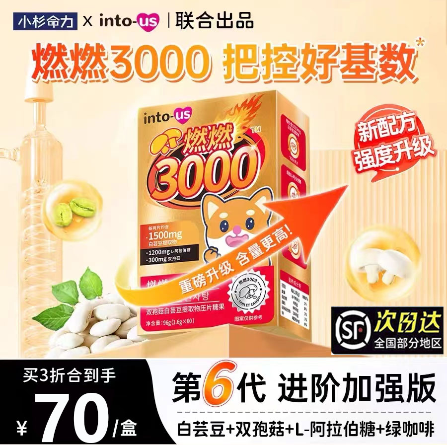 intous燃燃小控热3000新日期