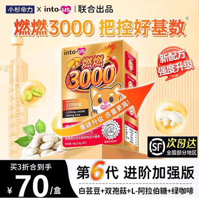 intous燃燃小控热3000新日期