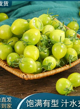 梦想青甜二号绿色小番茄口感酸甜多汁圣女果当季新鲜水果现摘现发