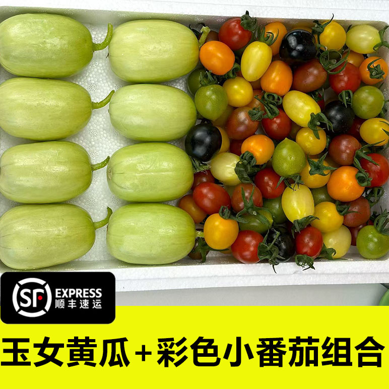 多彩小番茄+玉女小黄瓜彩色小西红柿拇指小黄瓜新鲜水果现摘现发