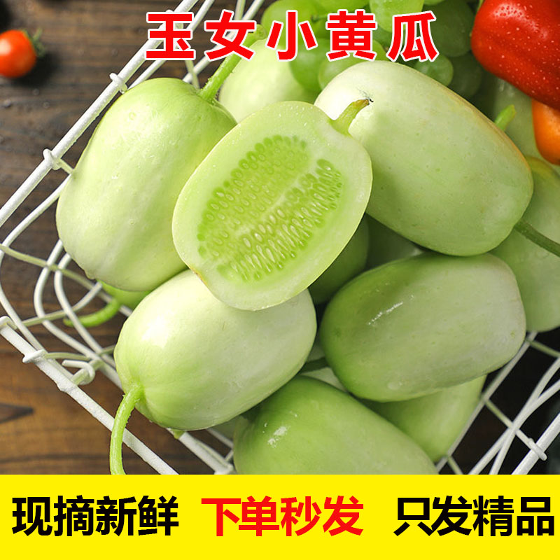 新鲜水果现摘现发5斤生吃小黄瓜