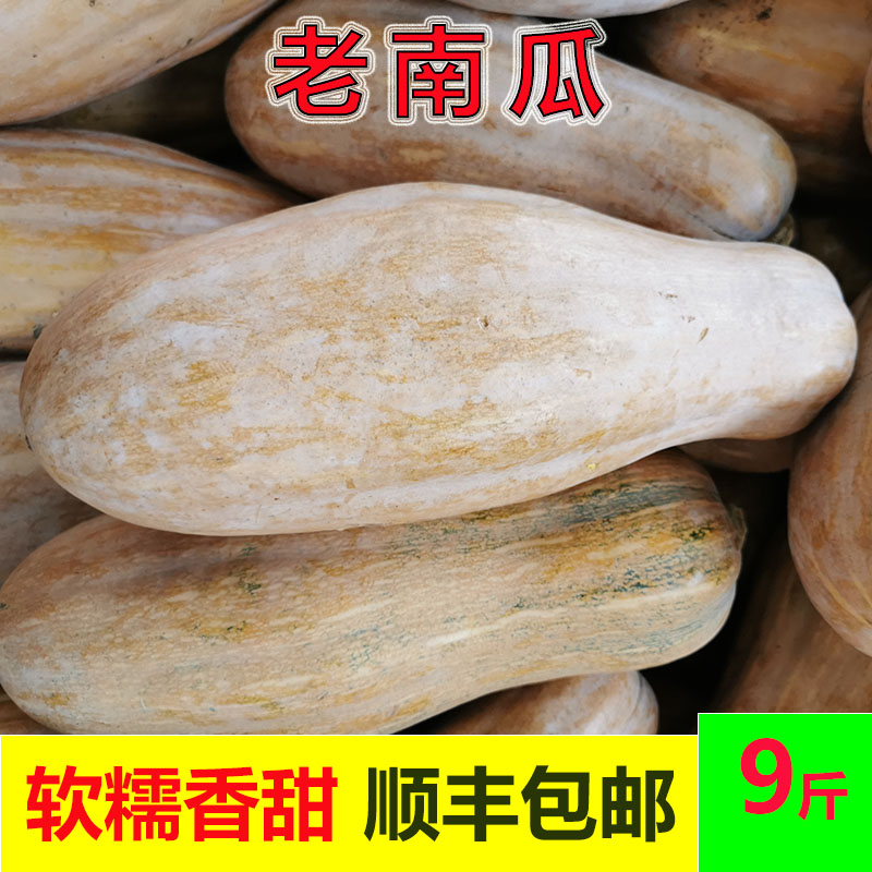 老南瓜黄皮长南瓜新鲜蔬菜5斤10斤软糯香甜南瓜粥南瓜饼宝宝辅食