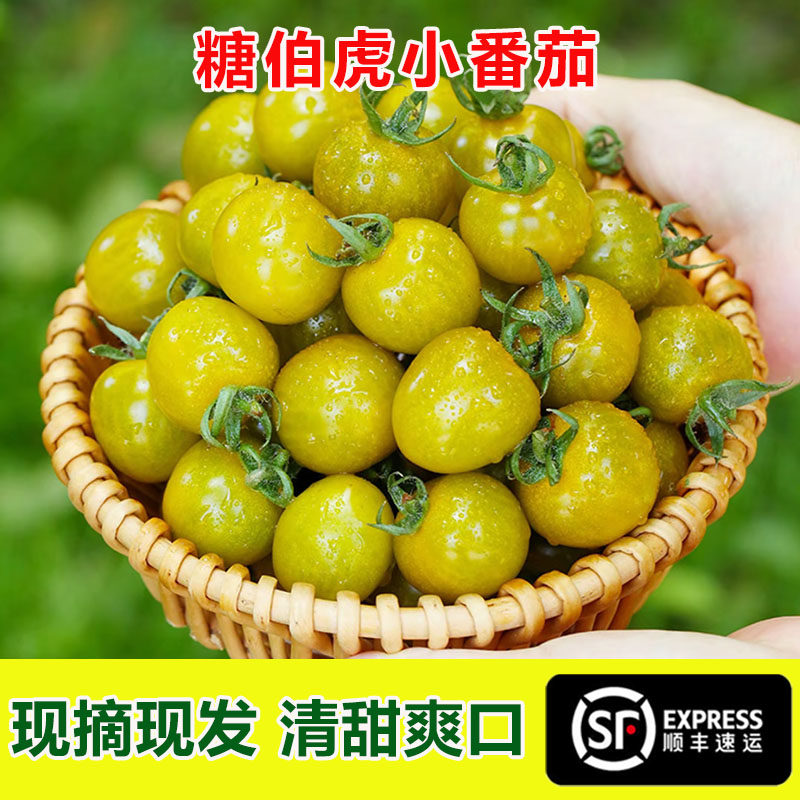 新鲜现摘糖珀琥小番茄寿光酸甜圣女果小柿子水果番茄圣女果顺丰,水产肉类/新鲜蔬果/熟食,番茄,淘宝优惠券,粉丝福利购,淘宝优惠卷