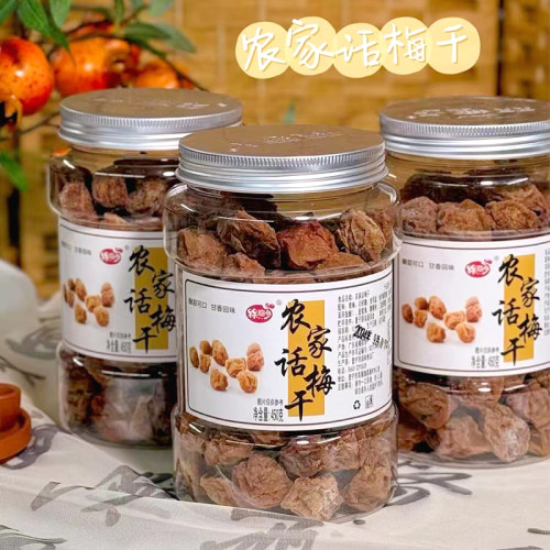 普宁潮汕特产农家梅话梅干450g
