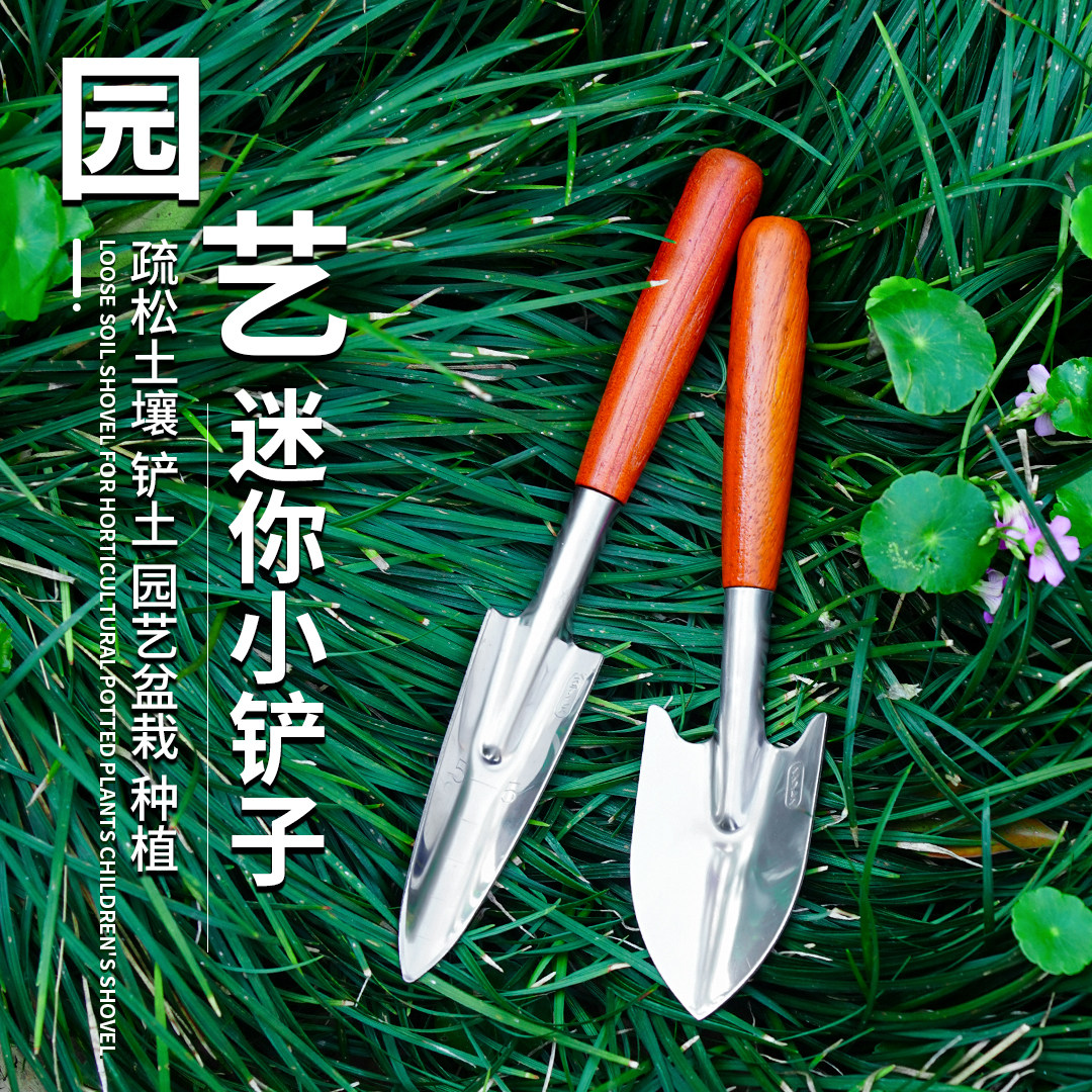 小巧匠园艺小花铲盆栽小铲子花园小铁铲花卉盆栽松土种花种菜工具,鲜花速递/花卉仿真/绿植园艺,铲子,淘宝优惠券,粉丝福利购,淘宝优惠卷