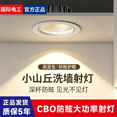 国际电工嵌入式小山丘射灯LED