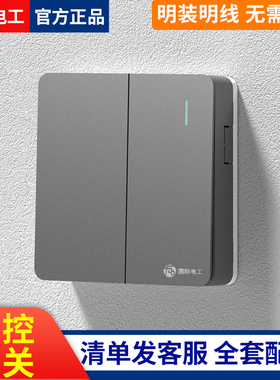 国际电工开关家用明装按钮二开双开单双控三四位明线明盒开关面板