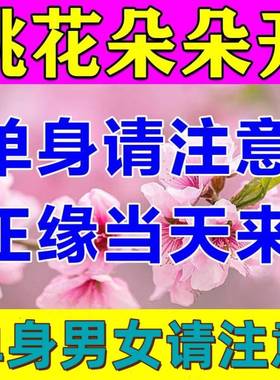 招桃花旺姻缘桃花运攻略御守护身符月老红绳男女士摆件手绳项链符