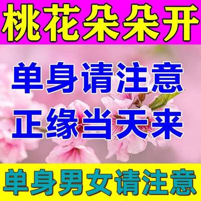 招桃花旺姻缘桃花运攻略御守护身符月老红绳男女士摆件手绳项链符
