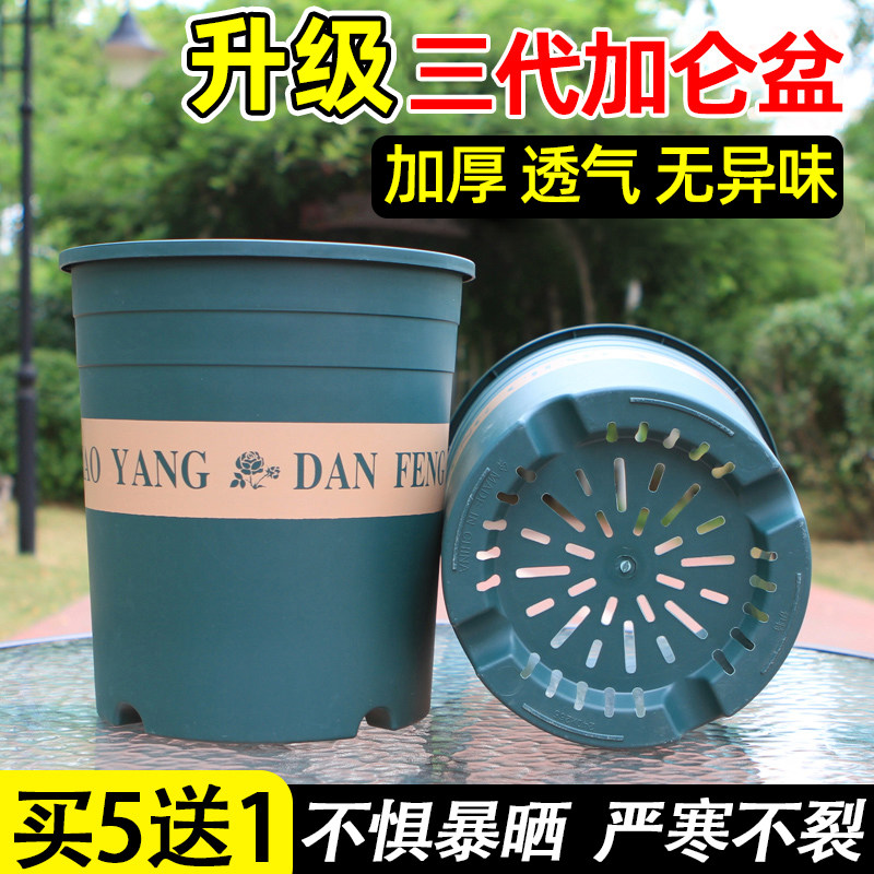 加厚耐用新款三代1235加仑花盆塑料蓝莓月季大号青山控根花盆家用