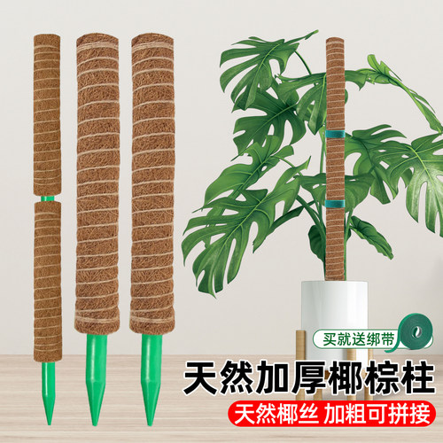 椰棕棒龟背竹支撑杆植物攀爬棕榈皮椰丝柱绿萝爬藤架杆固定花支架