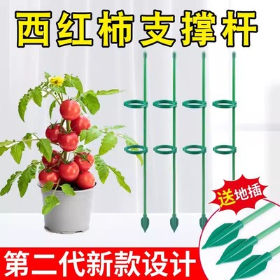 西红柿固定支撑架辣椒茄子黄瓜爬藤架杆花支架防倒伏龟背竹支撑杆