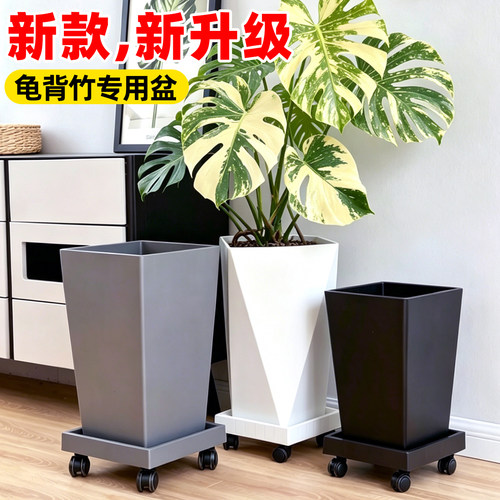 【极速发货】室内天堂鸟专用花盆