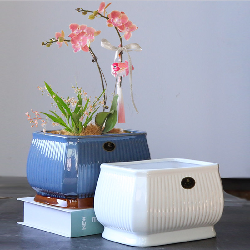 花盆陶瓷长方形现代简约阳台发财树多肉君子兰蝴蝶兰绿植盆栽清仓,鲜花速递/花卉仿真/绿植园艺,花盆,淘宝优惠券,粉丝福利购,淘宝优惠卷