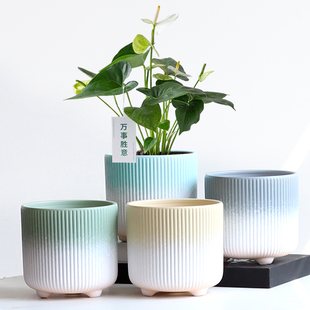 简约大号花盆陶瓷粗陶透气带托盘蝴蝶兰专用吊蓝虎皮兰多肉绿植盆