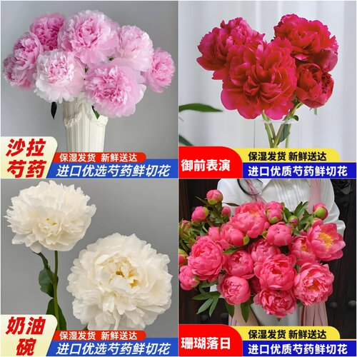 51福利搭配 沙拉 奶油碗 御前表演 珊瑚落日 重瓣芍药鲜花